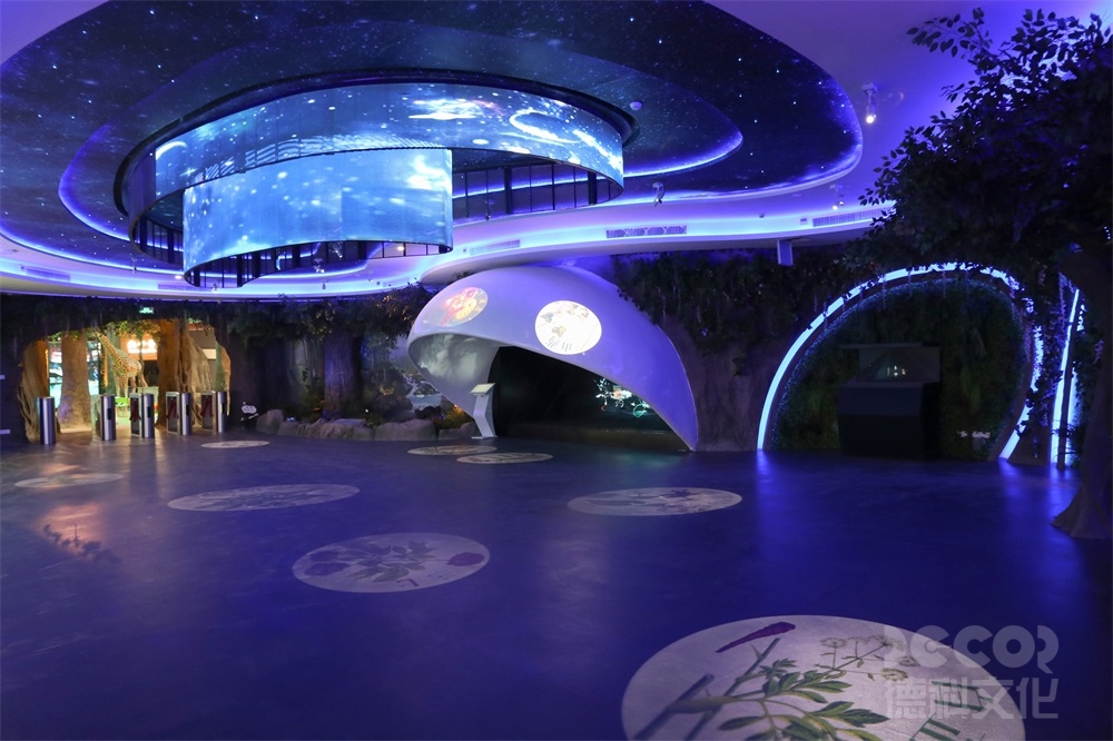 如何在自然展館裝修中創建可參與的活動空間？